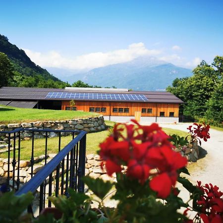 Agriturismo La Ca' D'Amelio Lessolo 外观 照片