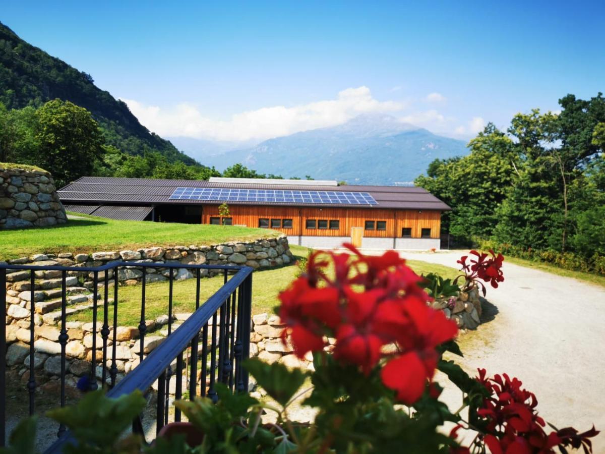 Agriturismo La Ca' D'Amelio Lessolo 外观 照片