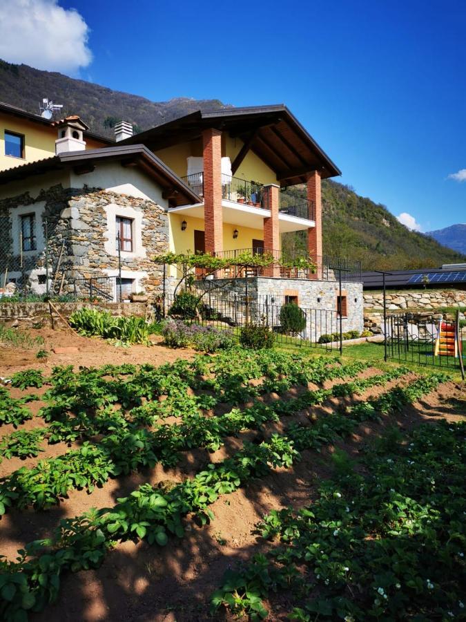 Agriturismo La Ca' D'Amelio Lessolo 外观 照片