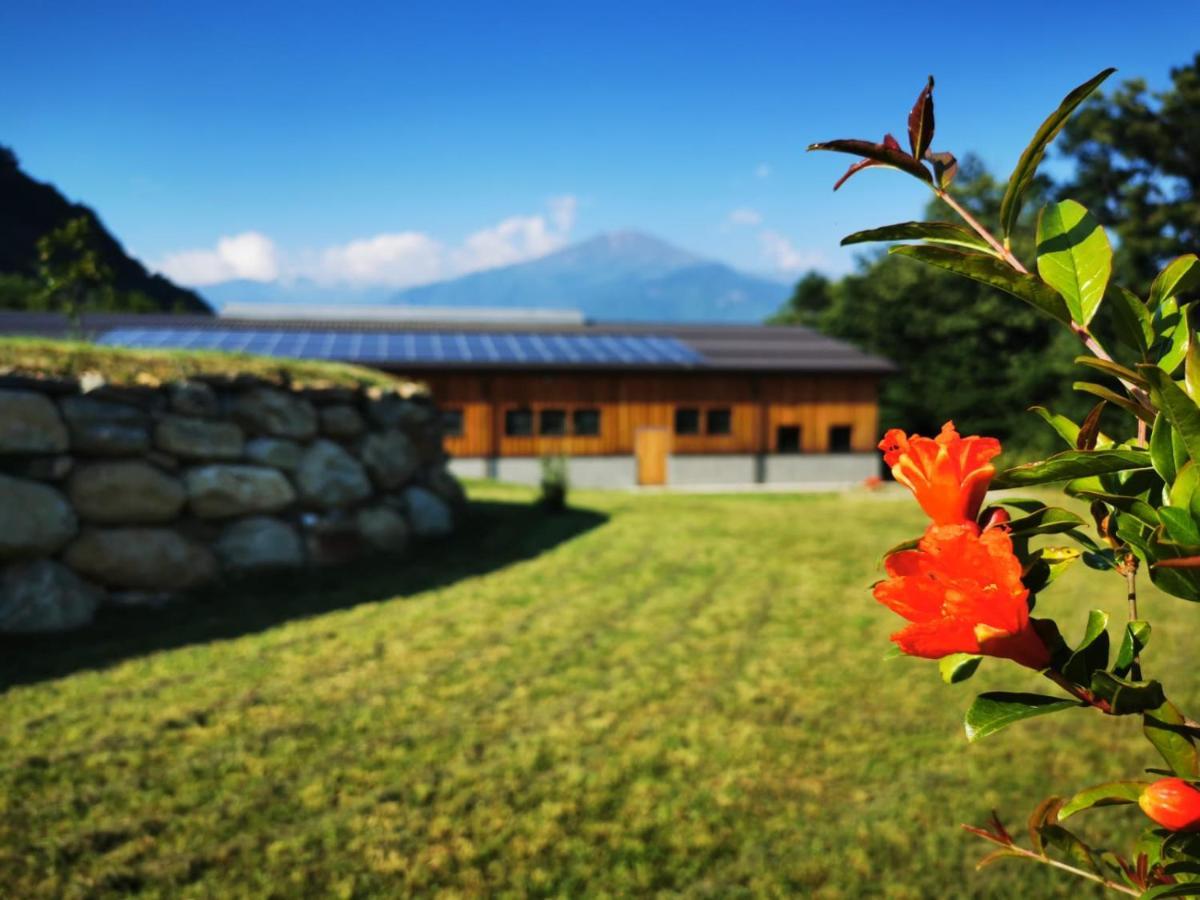 Agriturismo La Ca' D'Amelio Lessolo 外观 照片